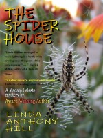 the-spider-house-a-madam-celeste-mystery.jpg
